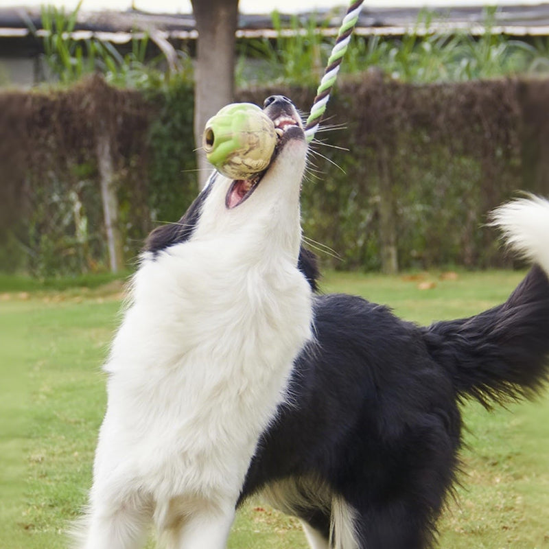 Ball Knot Dog Toys, Interactive Puppy Toys For Tug-of-war, Eco-friendly Cotton Rope Toys, Medium And Small-sized Dog Breeds, Not Suitable For Dogs With Strong Aggressive Chewing