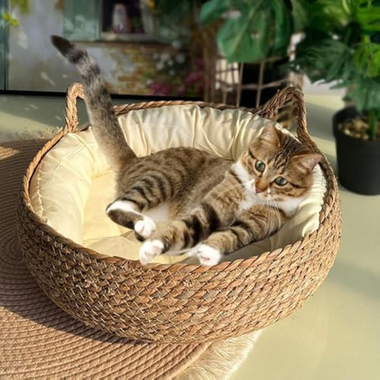 Natural Woven Cat Bed With Soft Cushion, Handmade Braided Cattail Leaf Pet House, Eco-Friendly Straw Nest